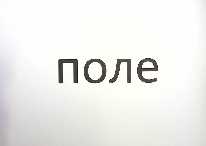 1st class. Visual dictations from the Ukrainian language / 1 клас. Зорові диктанти з української мови Лариса Шевчук 978-966-945-282-5-6