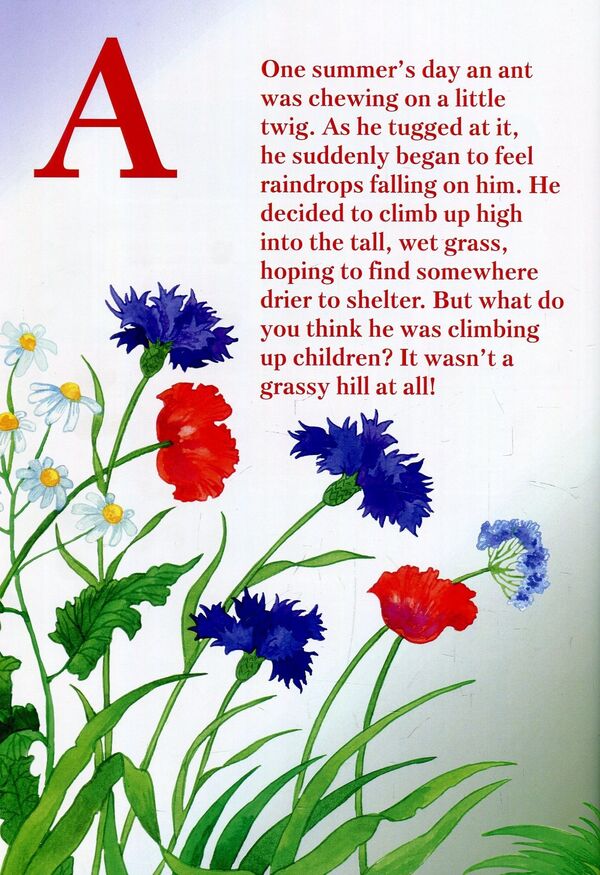 ABC Ants Adventures / ABC Ants Adventures 978-966-97818-1-9-6