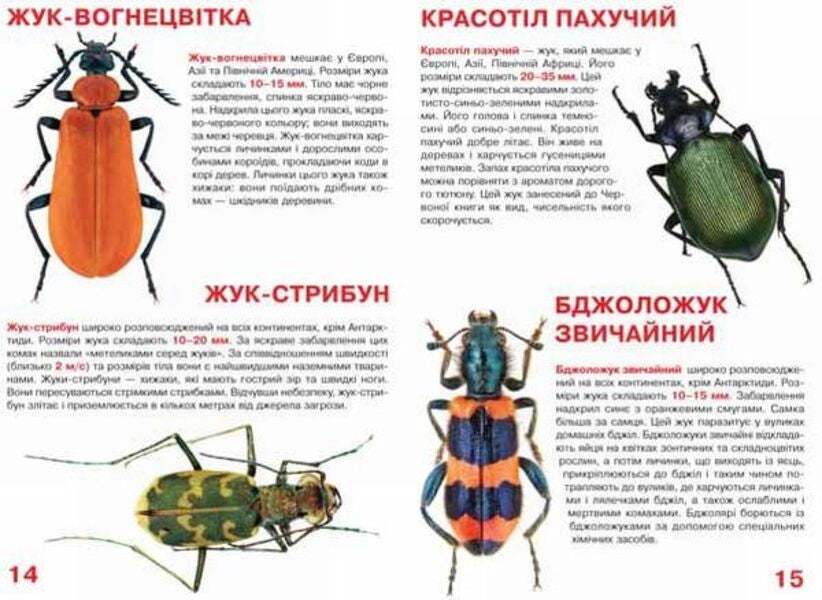 A Big Book. Beetles / Велика книжка. Жуки Oleg Zavyazkin / Олег Новідазкін 9789669367044-4