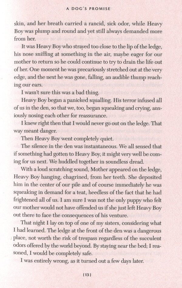 A Dog's Promise / A Dog's Promise У. Брюс Камерон 9781529010084-6