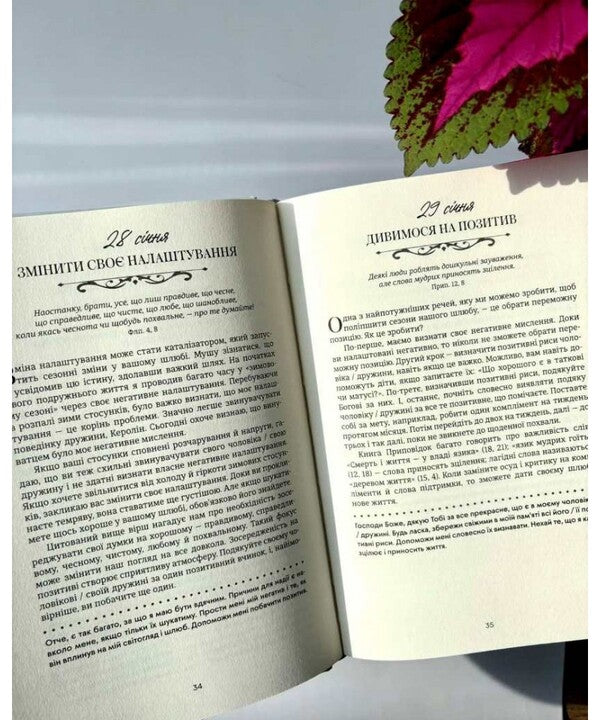 A Minute Dedicated To The Language Of Love. Thoughts For Every Day Of The Year / Хвилина, присвячена мові любови. Роздуми на кожен день року Gary Chapman / Гері Чепмен 9789669389886-6
