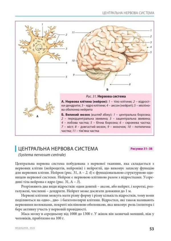 A Small Atlas Of Anatomy - Малий атлас з анатом Ryshard Alexandrovych, Bohdan Tsyshek - Ршард Олександрович, Богдан Цшек 9786178347185-6