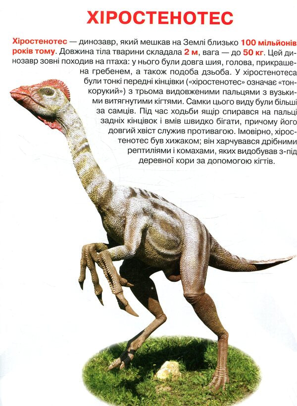 A big book.Dinosaurs / Велика книжка. Динозаври 978-966-936-806-5-5
