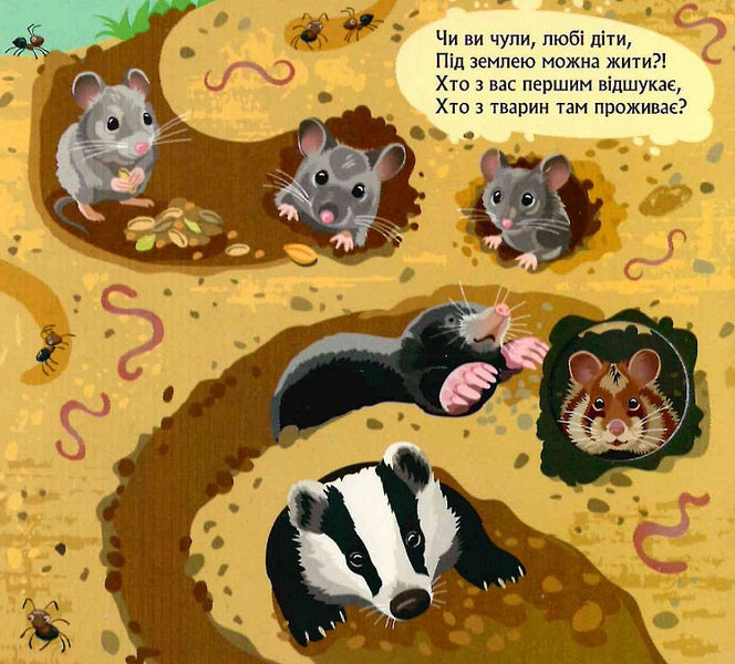 A book with windows.Who hid under the ground / Книжка з віконцями. Хто сховався під землею Марина Ляшок, Татьяна Строкач 9789667499150-6
