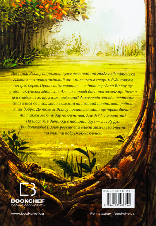 A girl named Willow / Дівчинка на ім’я Віллоу Забине Бальман 978-617-548-254-4-2