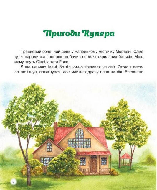 Adventures of Cooper / Пригоди Купера Ирина Константюк 978-966-279-216-4-2