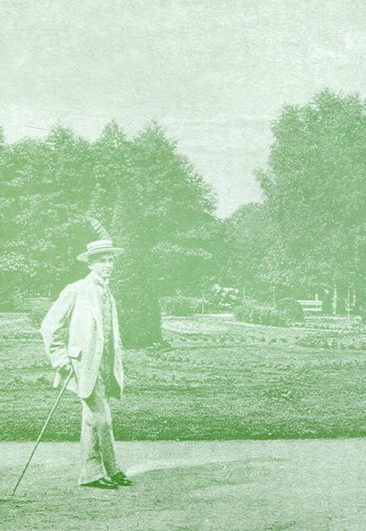 Alleys of the city park / Алеями міського парку Роман Дида 978-966-668-228-7-2