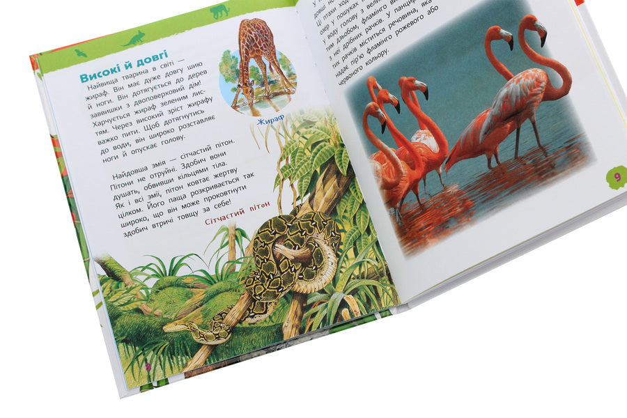Amazing animals. My first encyclopedia / Дивовижні тварини. Моя перша енциклопедія 978-966-98500-4-1-6