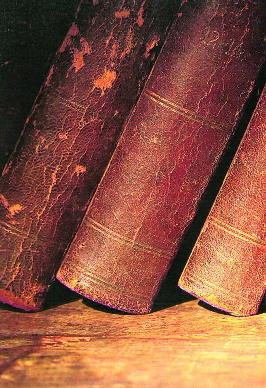 Ancient Ukrainian students and professors / Давньоукраїнські студенти і професори Василий Микитась 9786110117685-2