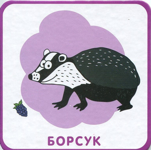 Animals Animal world on cards / Тварини. Тваринний світ на картках 978-966-97268-7-2-4