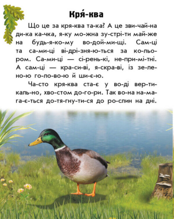Animals Of Rivers And Seas / Тварини річок та морів Yulia Kasparova / Юлія Каспарова 9786170981394-6