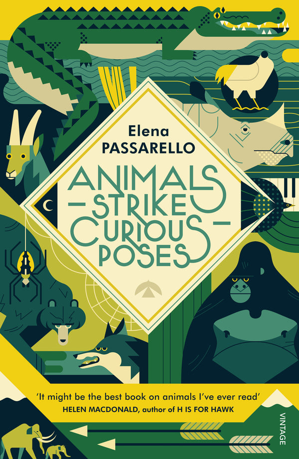 Animals Strike Curious Poses / Animals Strike Curious Poses Элена Пассарелло 9781784707354-2