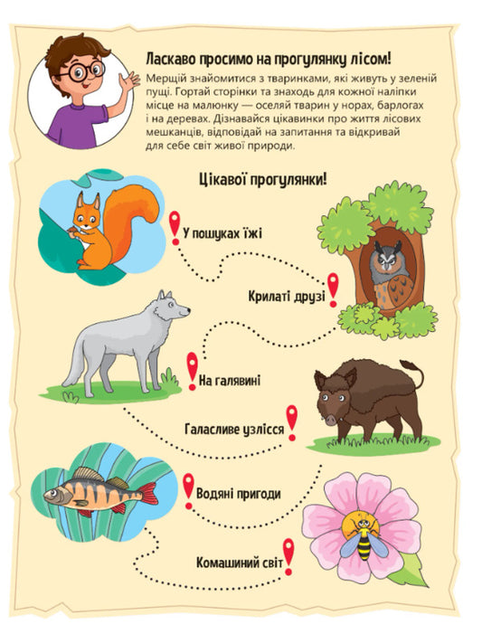 Animals in the forest. + 32 stickers / Тваринки у лісі. + 32 наліпки Ольга Шевченко 978-617-17-0148-9-2