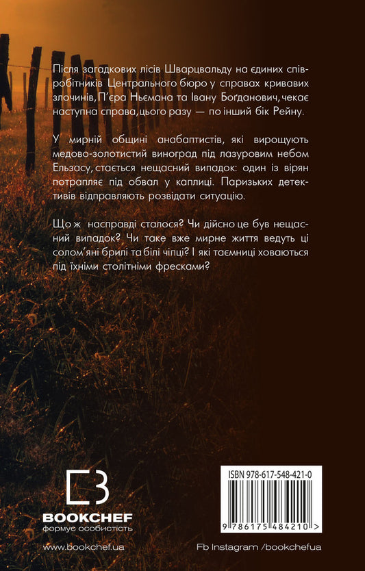 Ashes day / День попелу Жан-Кристоф Гранже 978-617-548-421-0-2