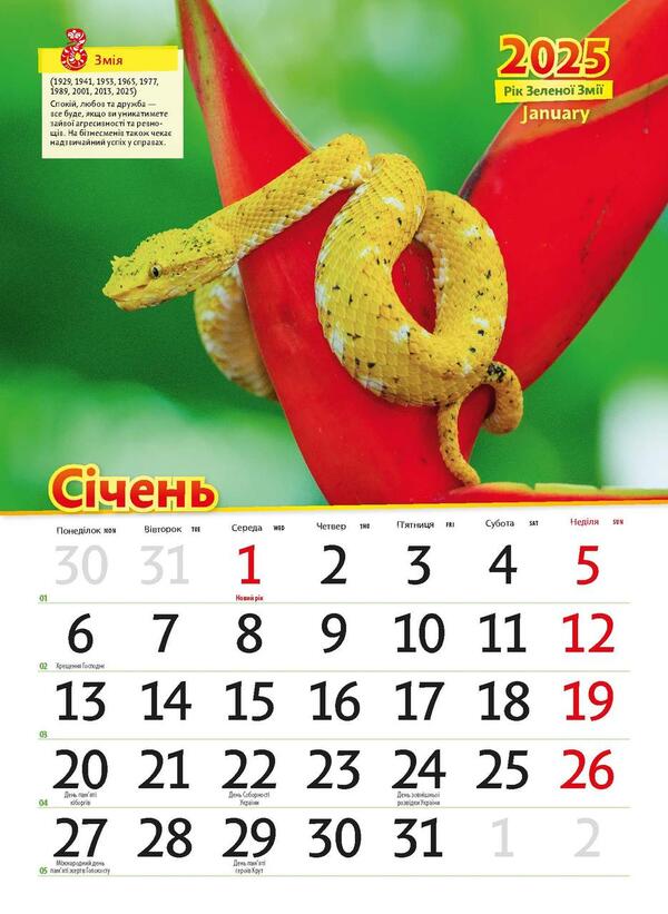 Astrocalendar 2025. Year Of The Green Snake / Астрокалендар 2025. Рік зеленої змії / Author not specified 9771995875805-6