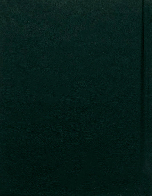 Autumn flower / Квітка осіння Владимир Сосюра 978-966-03-7392-1-2