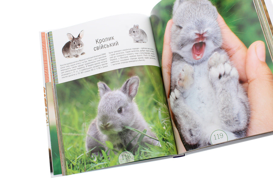 Baby animals / Малята-звірята 978-617-629-584-6-6