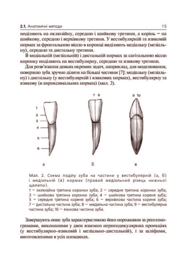 Basics of clinical morphology of teeth / Основи клінічної морфології зубів Рудольф Самусев, Сергей Дмитриенко 978-966-408-135-8-6