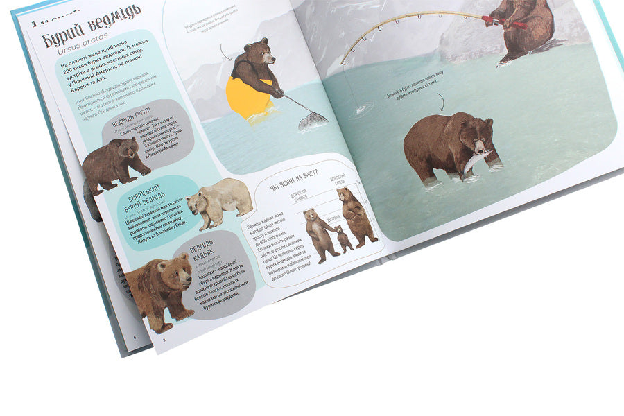Bear book / Ведмежа книга Кейти Уиггерс 978-617-7579624-6