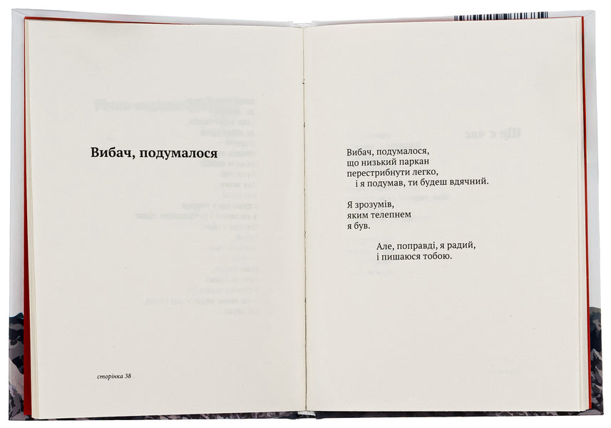 Behind the mountain of loneliness / За горою самотності Улав Хокунсон Хауге 9786176925484-6