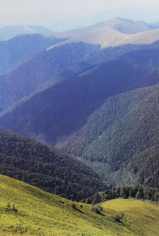 Berezuna walked along the paths of life / Стежками життя гуцула Березуна Василий Лозовчук 978-611-01-1899-6-2