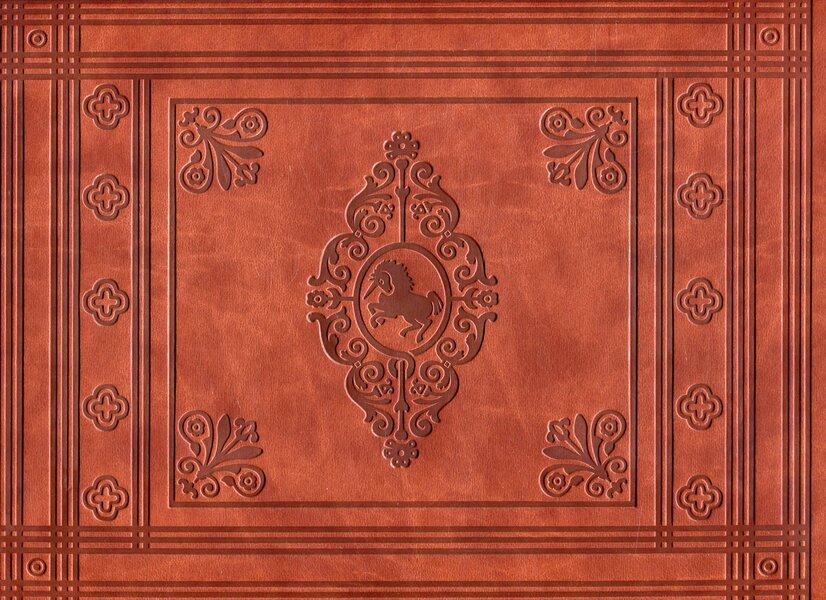 Bible. History of the Old and New Testament Bible... / Біблія. Історія Біблії Старого і Нового Заповіту... 978-966-97478-0-8-6