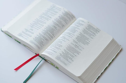 Bible For Journaling And Verse-Mapping. Floral / Author not specified 9781473680531-2