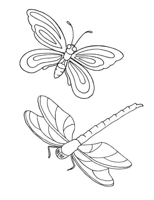 Big Book Of Coloring. Animals / Велика книга розмальовок. Тварини / Author not specified 9789667617622-2