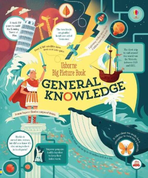 Big Picture Book of General Knowledge / Big Picture Book of General Knowledge Джеймс Маклейн 9781474917889-1