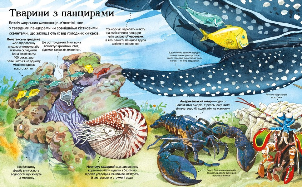 Big book (set of 4 books) / Велика книга (комплект із 4 книг) Минна Лейси 978-617-7940-17-2, 978-617-7688-65-4, 978-617-7688-09-8, 9786177940165,-6