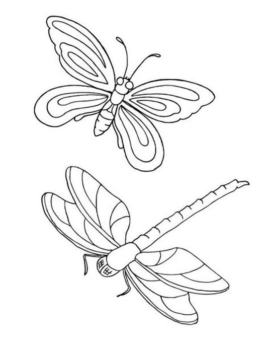 Big coloring book.Animals / Велика книга розмальовок. Тварини 9789667511234-2