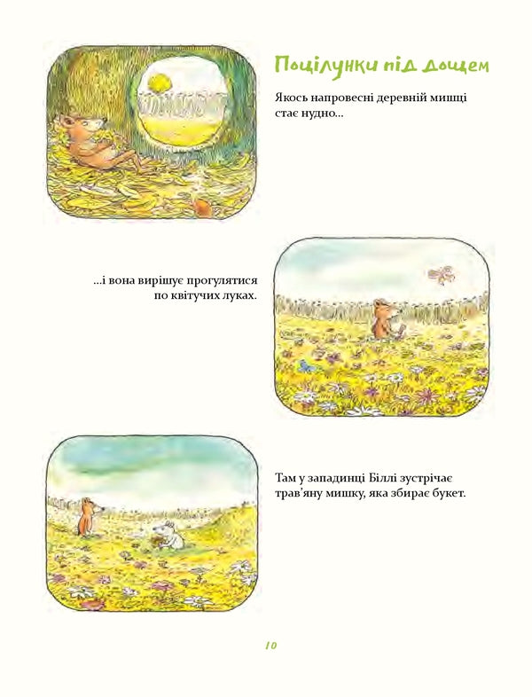 Billy the wooden mouse.Walks of a brave mouse / Деревна мишка Біллі. Прогулянки хороброго мишеняти Эрвин Мозер 978-617-614-364-2-6