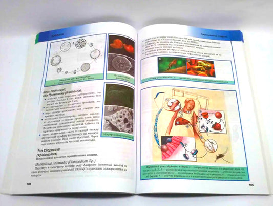 Biology. 7-8 grades. Illustrated guide / Біологія. 7-8 класи. Ілюстрований довідник Руслан Шаламов, Владислав Подгорный 978-966-4-740-859-2