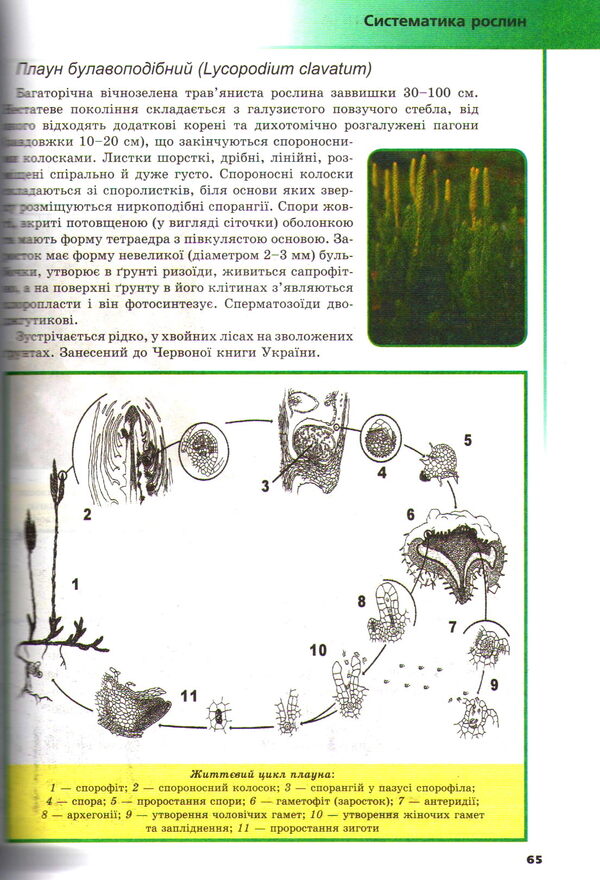 Biology. 7-8 grades. Illustrated guide / Біологія. 7-8 класи. Ілюстрований довідник Руслан Шаламов, Владислав Подгорный 978-966-4-740-859-6