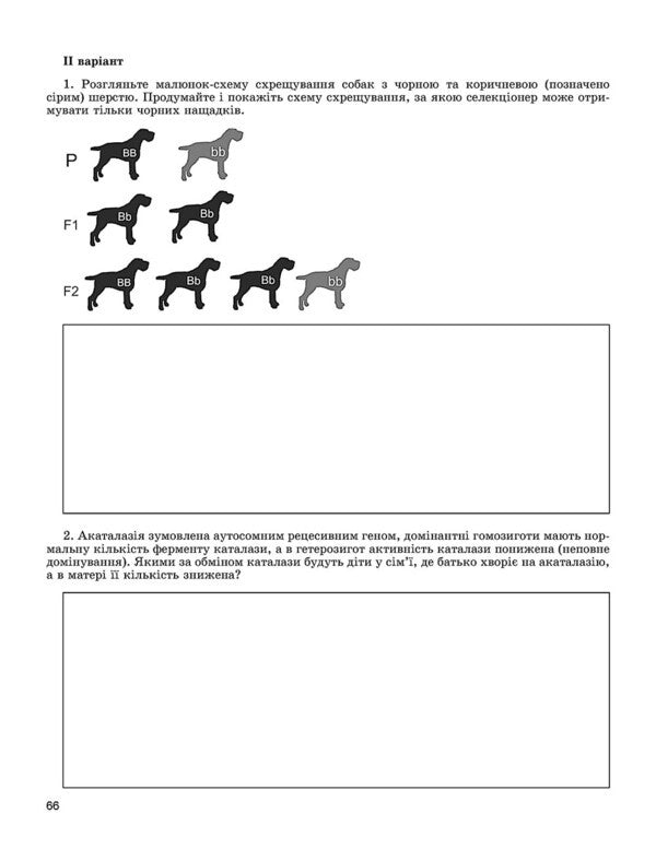Biology. Notebook for formation and verification of subject and key competencies. Standard level. Grade 10 / Біологія. Зошит для формування та перевірки предметних і ключових компетентностей. Рівень стандарту. 10 клас Ольга Кулинич 978-966-11-0937-6-6