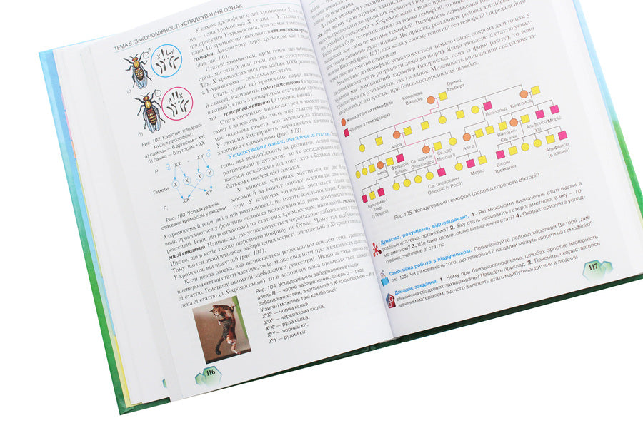 Biology. Textbook. Grade 9 / Біологія. Підручник. 9 клас Станислав Страшко 978-966-349-648-1-6