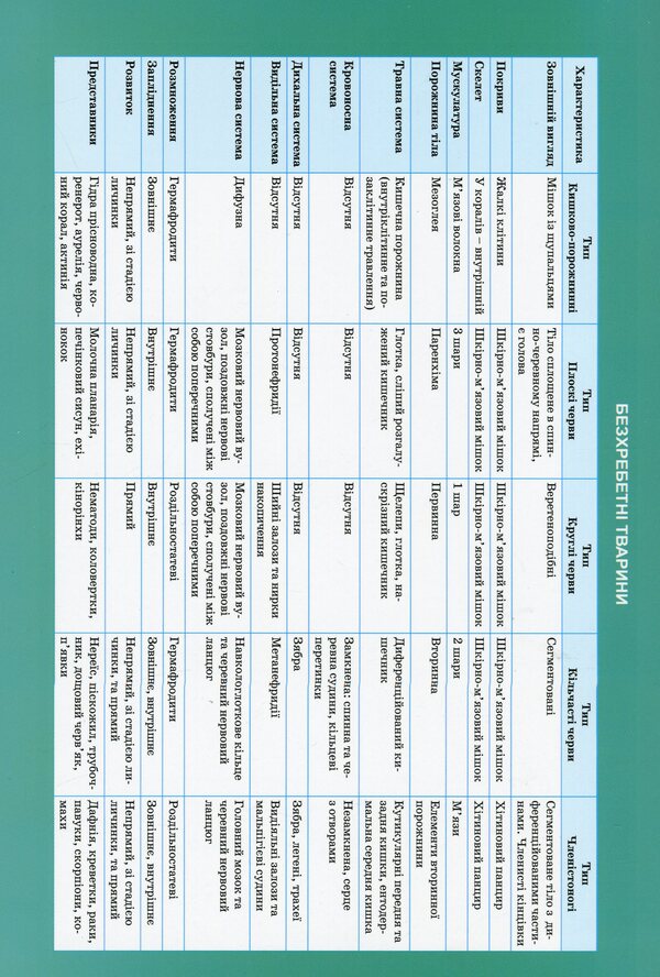 Biology In Tables And Diagrams 6-11 Grades - Бологя в таблицях схемах 6-11 класи Roman Evseev - Роман всв 9789669397300-6
