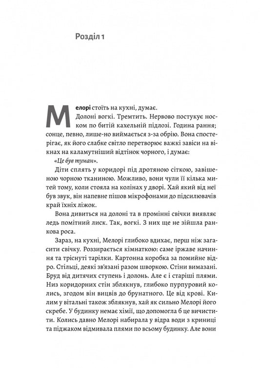 Bird Box - Пташиний короб Josh Malerman - Джош Малерман 9786178619275-2
