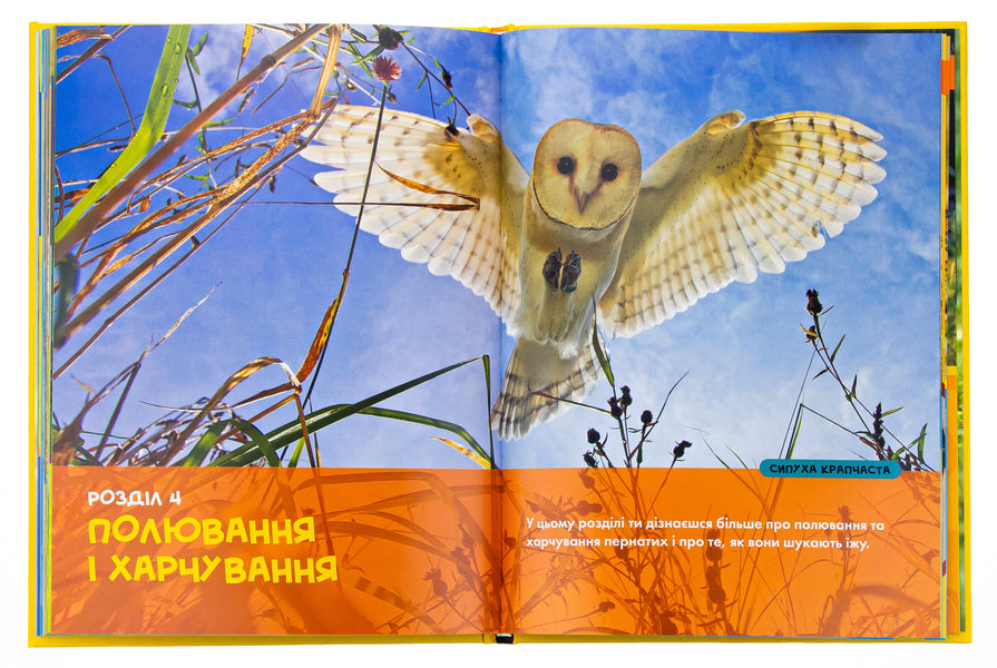 Birds. My first encyclopedia / Птахи. Моя перша енциклопедія Кэтрин Хьюз 9786171600782-6