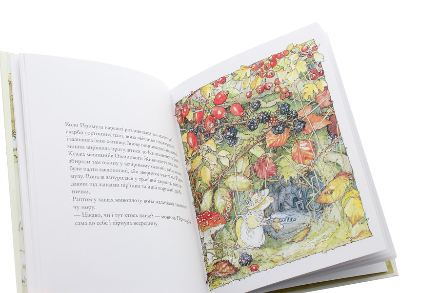 Blackberry hedge.Book 3. Autumn story / Ожиновий живопліт. Книга 3. Осіння історія Джилл Барклем 978-617-7329-63-2-6
