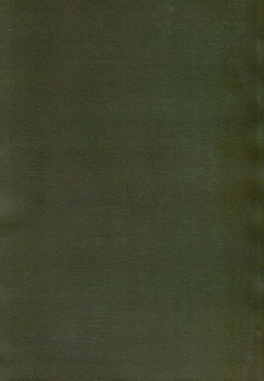 Blockhead. Book 1. Motrya / Мазепа. Книга 1. Мотря Богдан Лепкий 978-088-0006-79-8-2