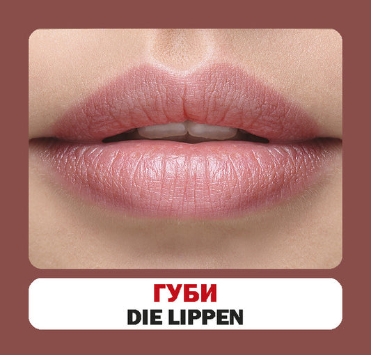 Body Parts / Частини тіла / Author not specified 9786177360963-2