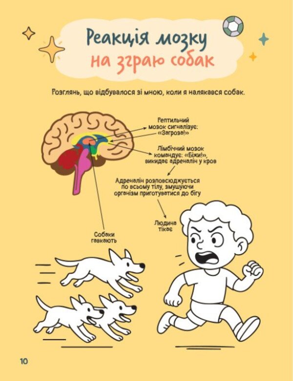 Brain And Sensation - Мозок та вдчуття Natalya Gladkikh - Наталя Гладких 9786170996978-6