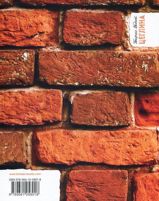 Brick / Цеглина Taras Fedyuk / Тарас Федюк 9789661058018-2