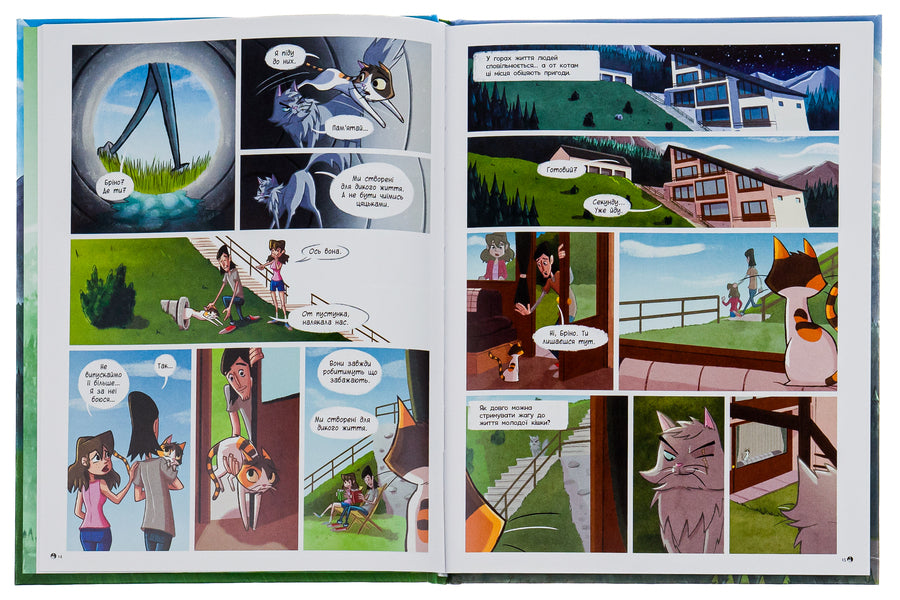 Brina and the Cat Sun Gang / Бріна і Банда котячого сонця Джорджо Салати 9786170971371-6