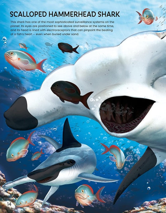 Build Your Own Sea Creatures. Sticker Book Simon Tudhope / Саймон Тадхоуп 9781474998789-2