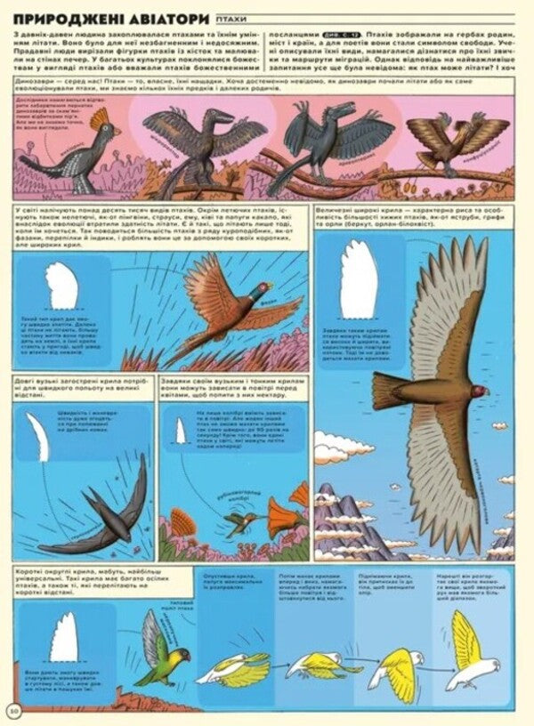 But High! Illustrated History Of Aviation / Але високо! Мальована історія авіації Jacek Ambrozhevsky / Яцек Амброжевський 9789664484272-6