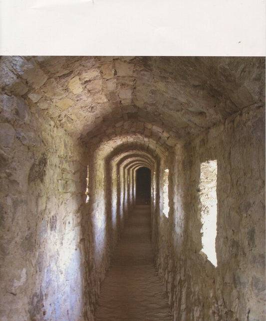 Castrum Camenecensis. Kamenets Fortress Late Antiquity - Early Modern Times - Castrum Camenecensis. Фортеця Камянець пзньоантичний ранньомодерний час Olga Plamenitskaya - Ольга Пламеницька 9786175391181-2