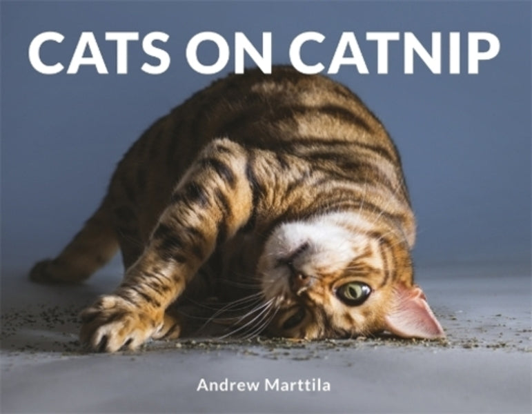 Cats On Catnip Andrew Marttila / Эндрю Марттила 9781472142672-1