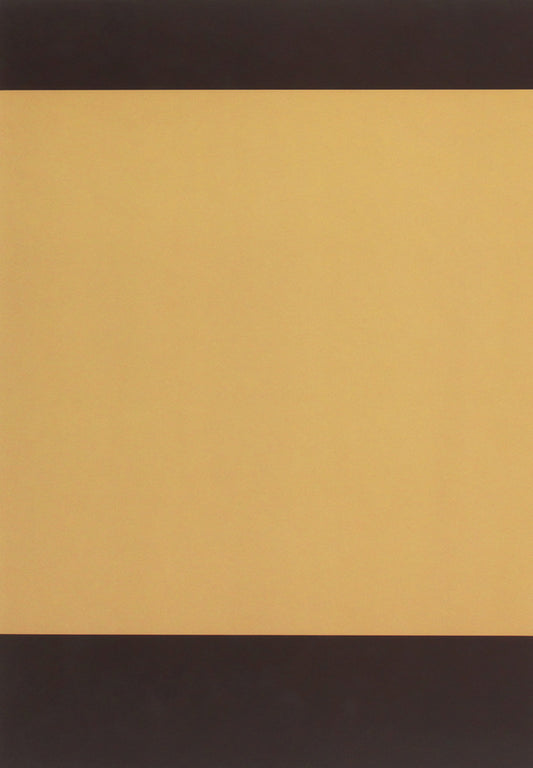 Chernyshova T.M. Selected works / Чернишова Т.М. Вибрані праці Татьяна Чернышова 978-966-489-203-9-2